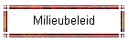 Milieubeleid